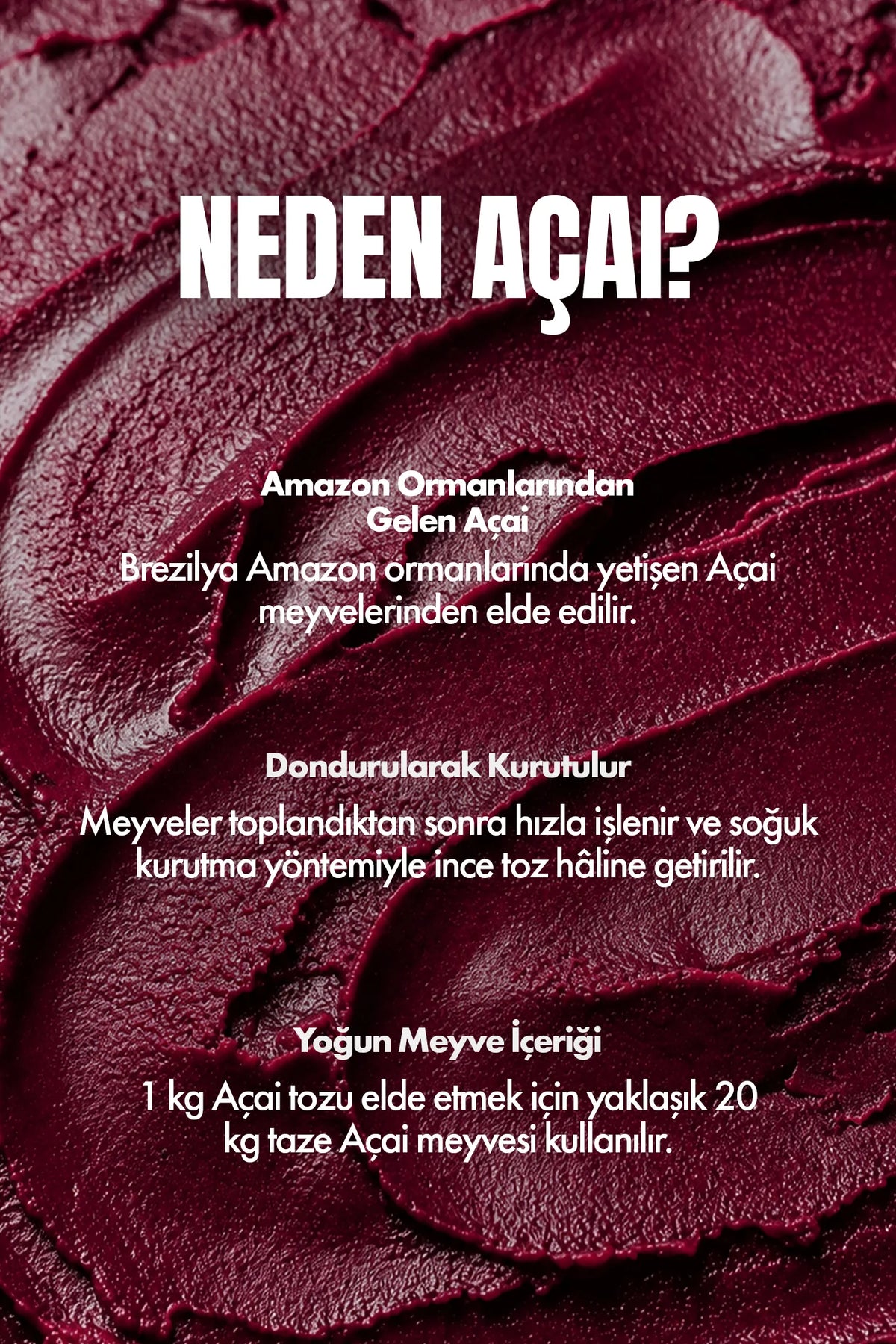 Dondurularak Kurutulmuş Açai Tozu – 30 g