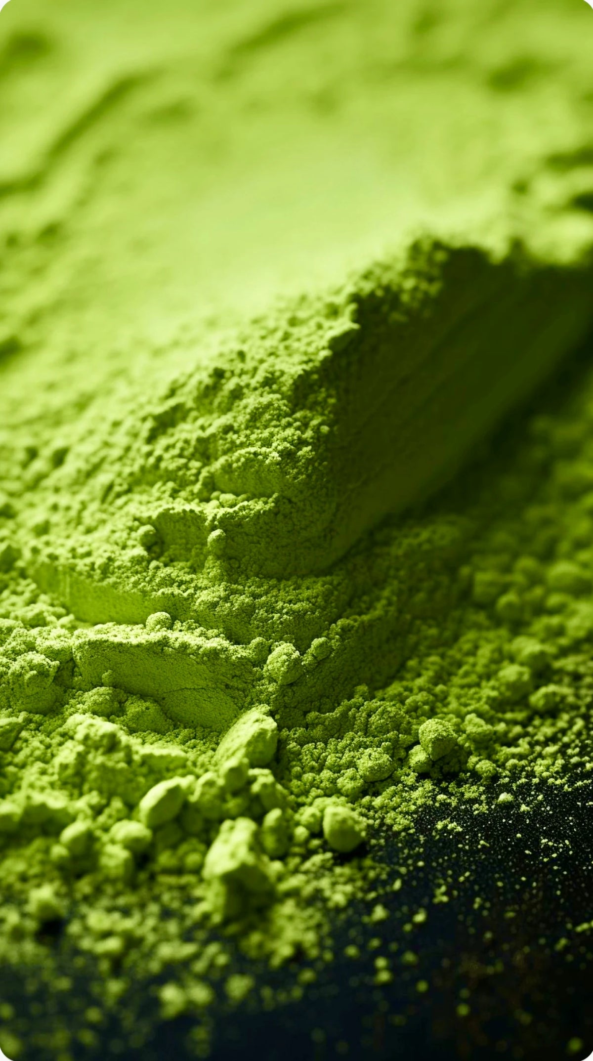 Ceremonial Grade Matcha – Uji Japon Yeşil Çay Tozu